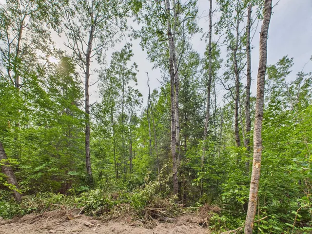 $180,000 | Ison Road, Crandon, WI 54520