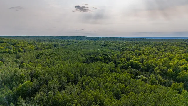 $180,000 | Ison Road, Crandon, WI 54520