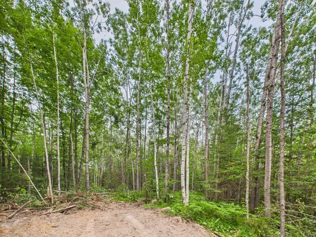 $180,000 | Ison Road, Crandon, WI 54520