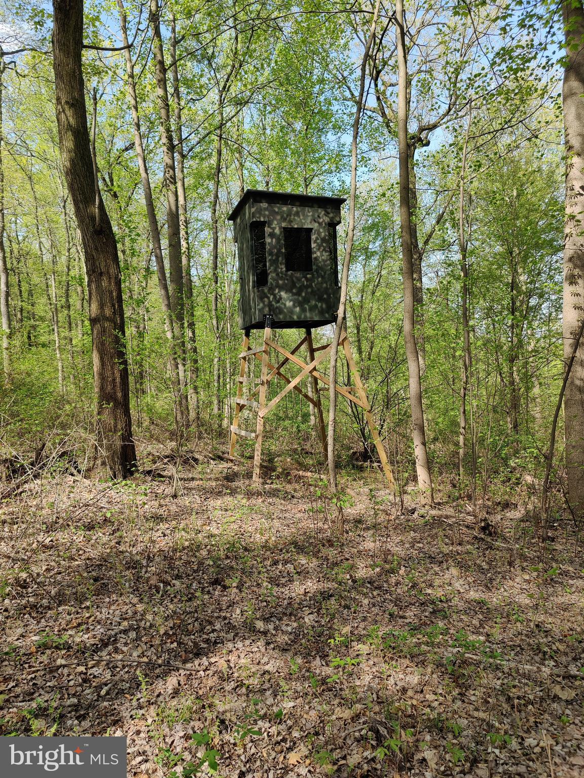 0 Windmill Road Gap, PA 17527 - Photo 11 of 16 Hunting blind not For Sale.