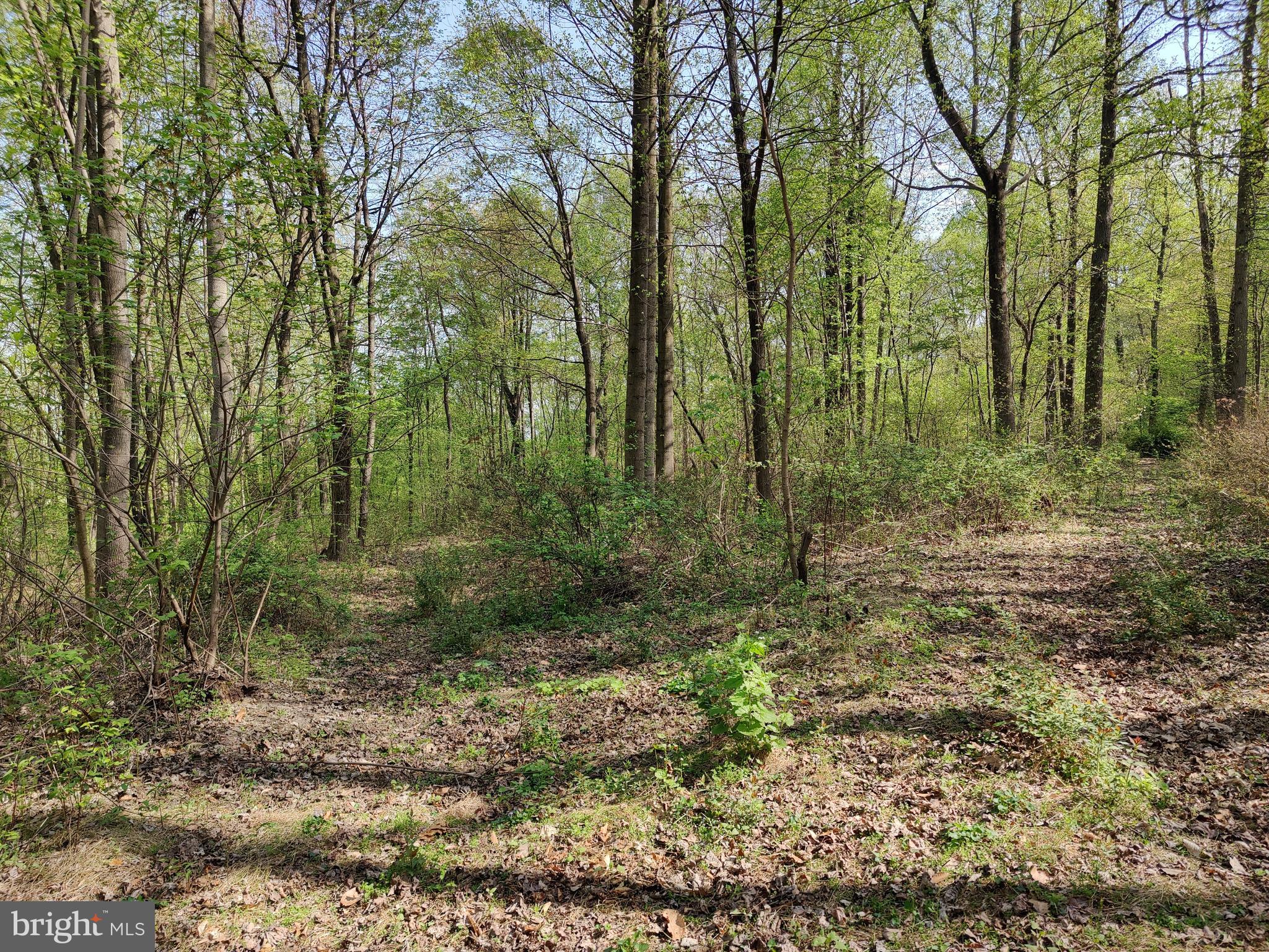 0 Windmill Road Gap, PA 17527 - Photo 12 of 16