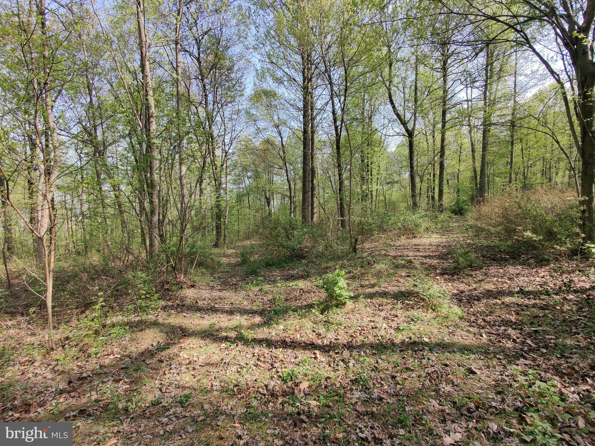0 Windmill Road Gap, PA 17527 - Photo 13 of 16