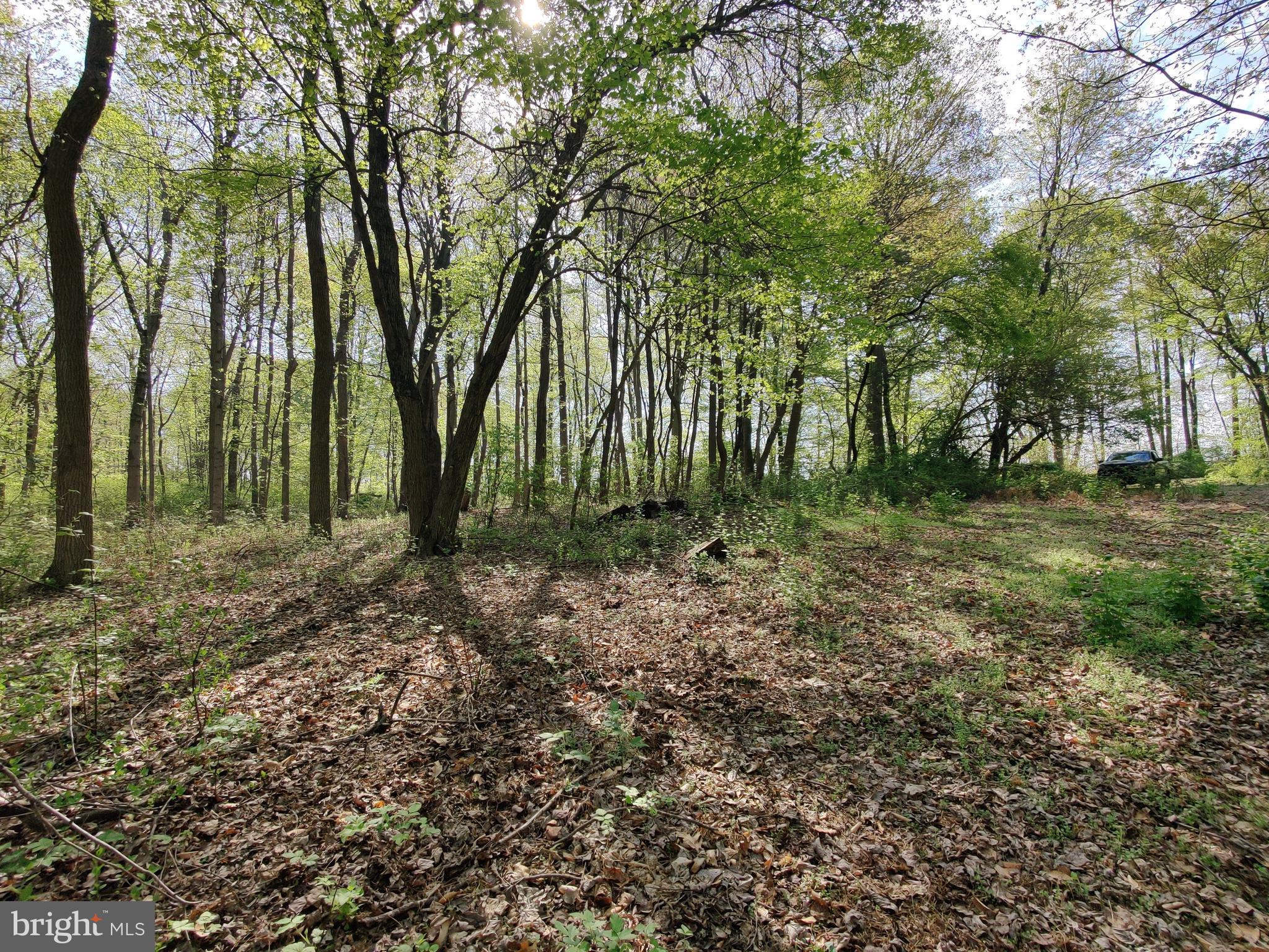 0 Windmill Road Gap, PA 17527 - Photo 14 of 16