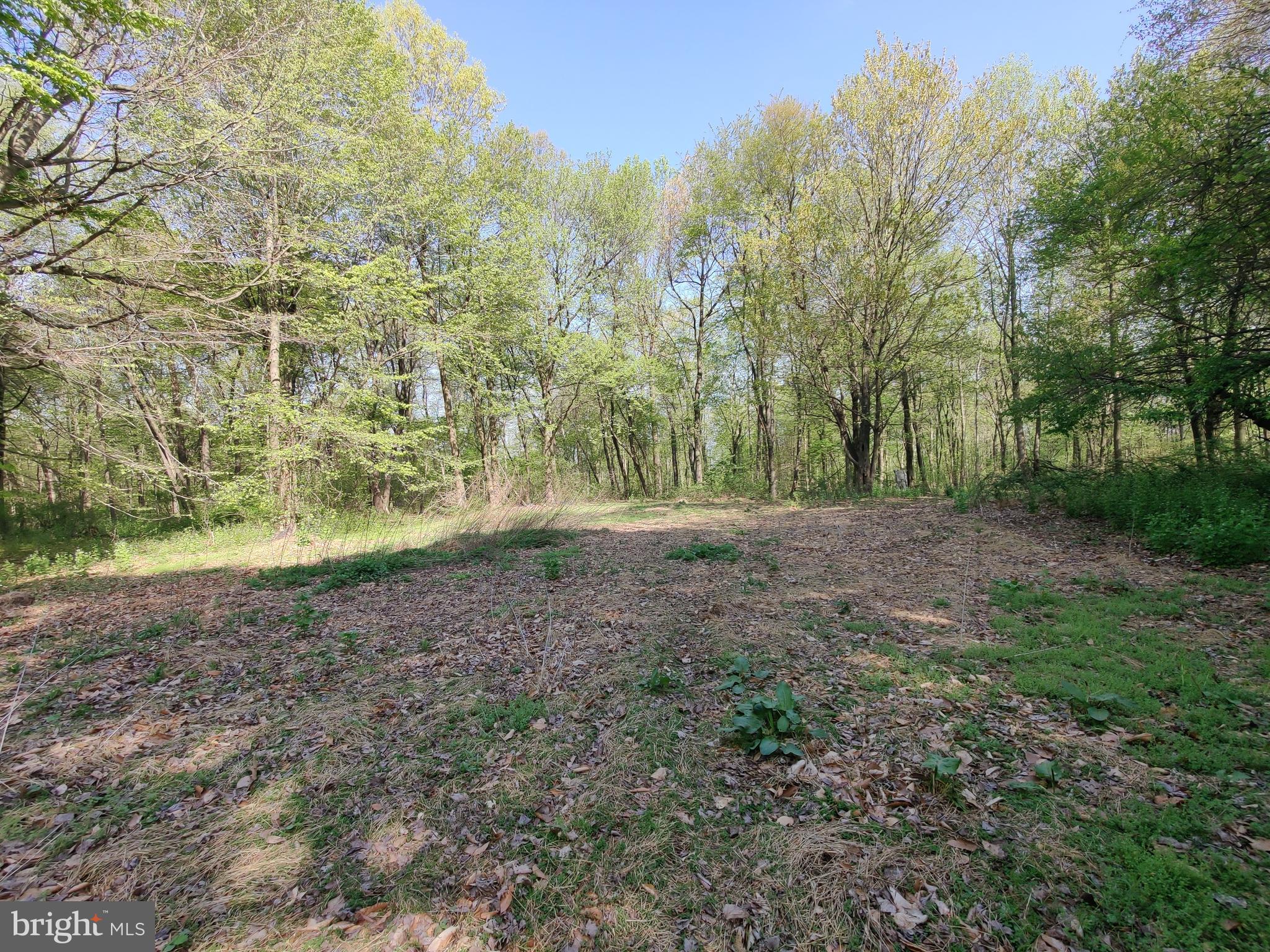 0 Windmill Road Gap, PA 17527 - Photo 4 of 16