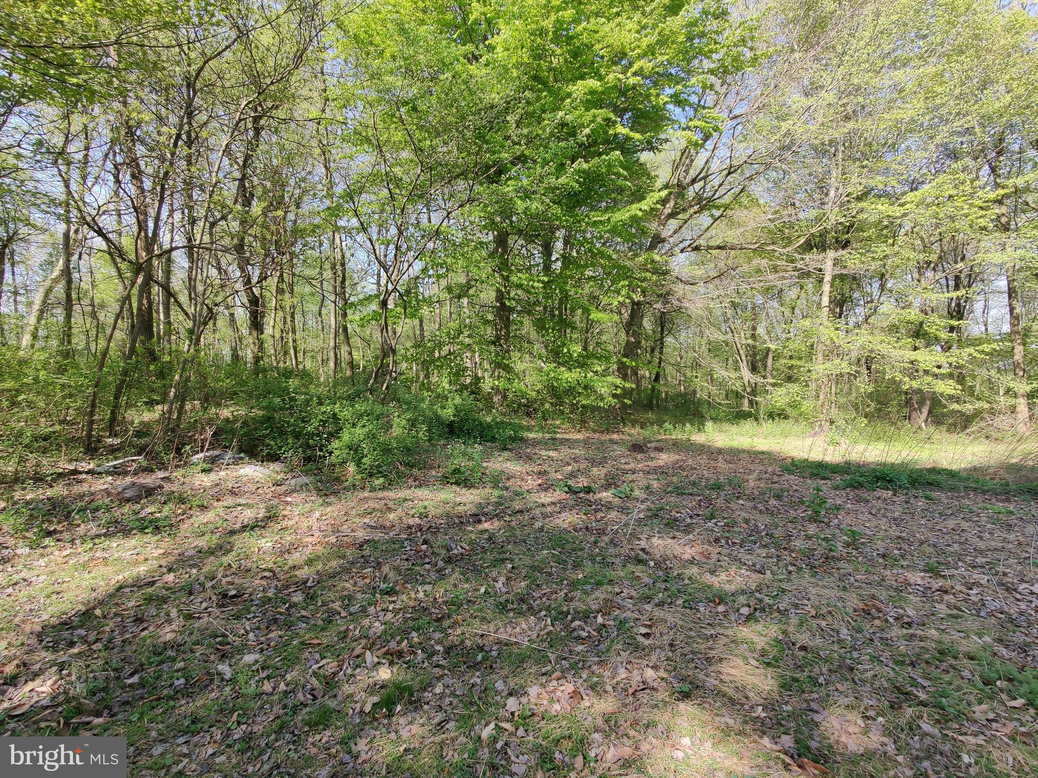 0 Windmill Road Gap, PA 17527 - Photo 5 of 16