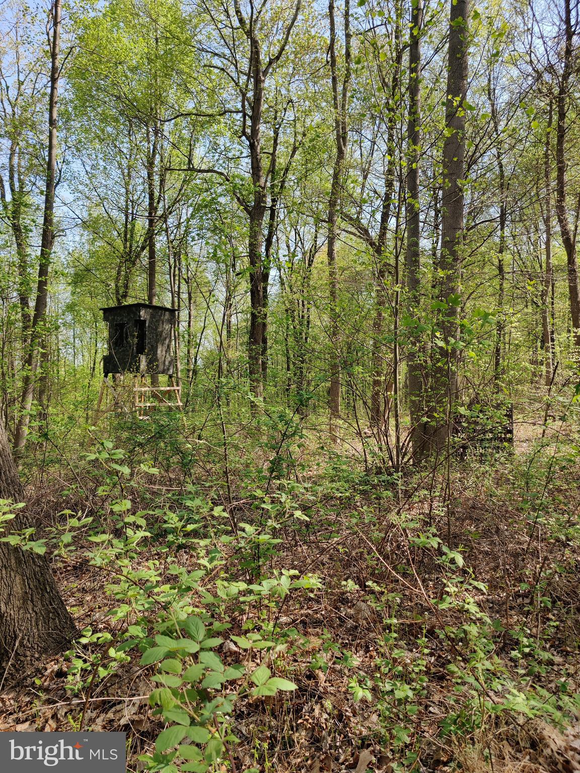 0 Windmill Road Gap, PA 17527 - Photo 7 of 16 Hunting blind not For Sale.