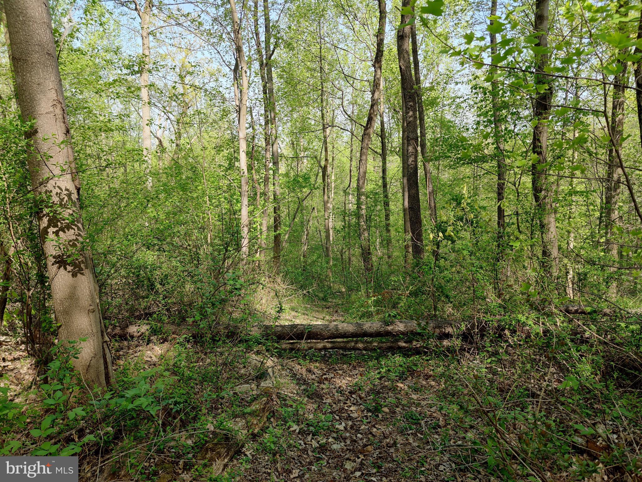 0 Windmill Road Gap, PA 17527 - Photo 8 of 16