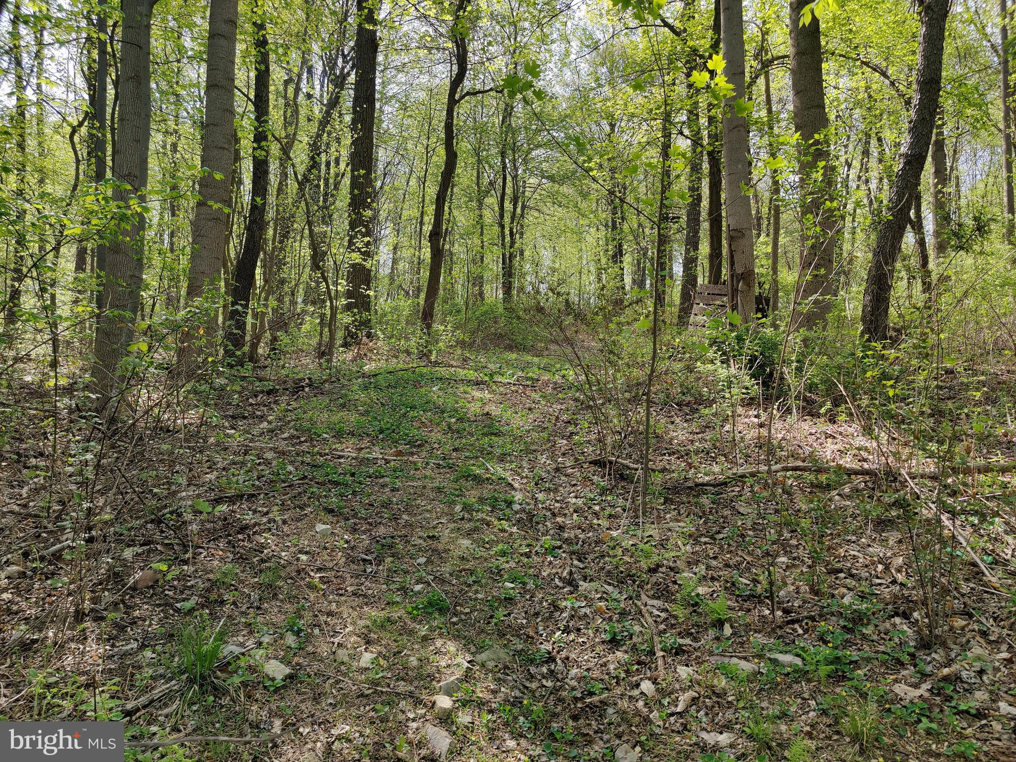 0 Windmill Road Gap, PA 17527 - Photo 9 of 16