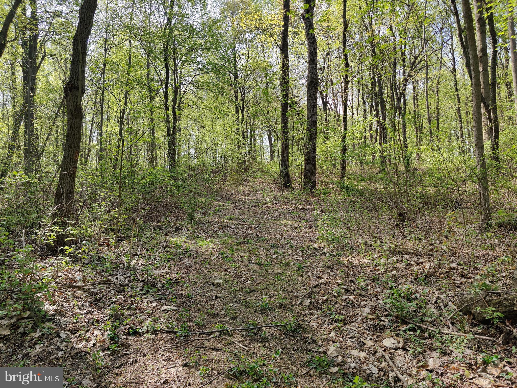 0 Windmill Road Gap, PA 17527 - Photo 10 of 16