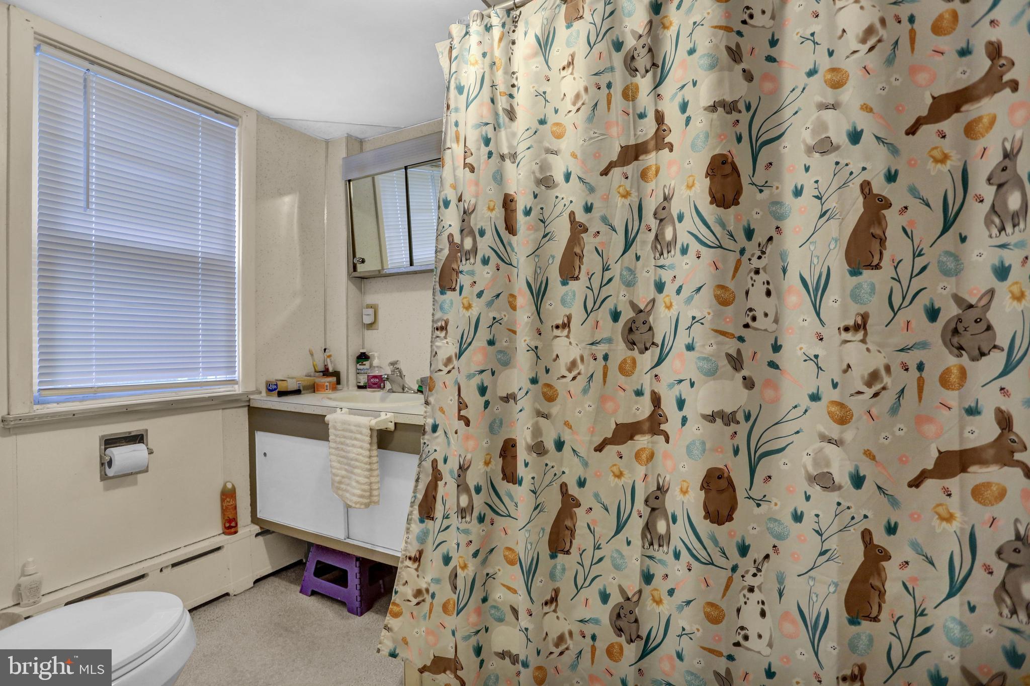 201-205 Pershing Boulevard Reading, PA 19607 - Photo 11 of 30 1st floor bathroom