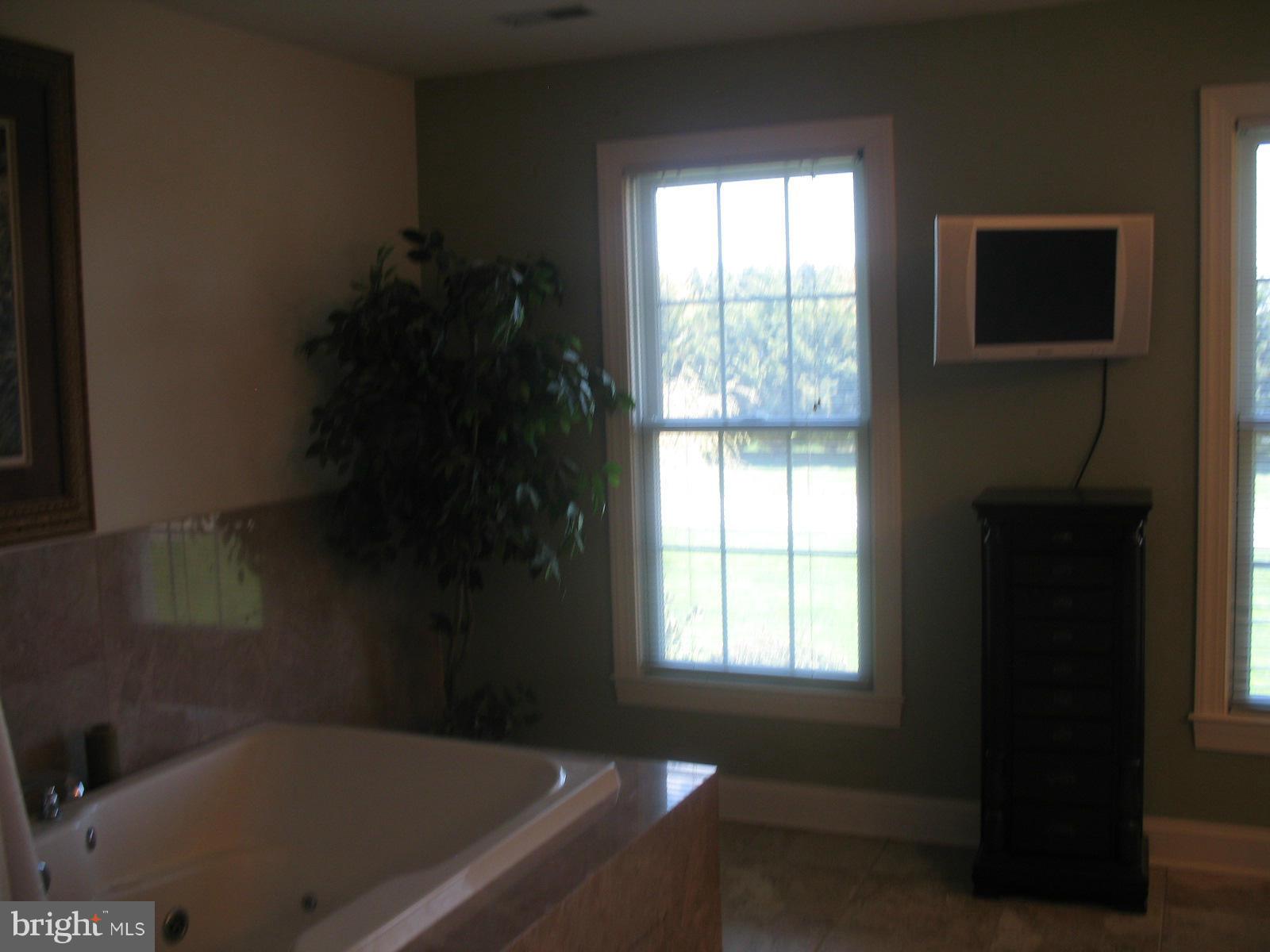 29 Fairview Road Elkton, MD 21921 - Photo 15 of 26 Bath (Master)
