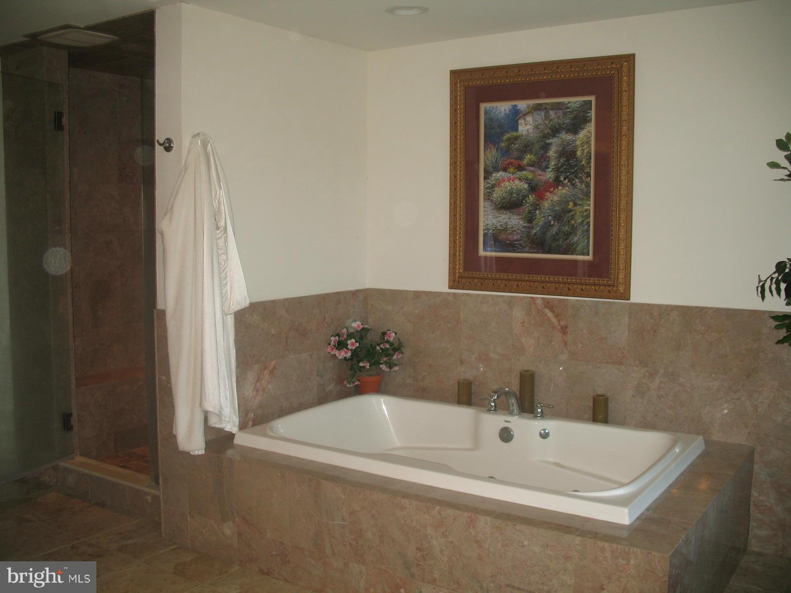 29 Fairview Road Elkton, MD 21921 - Photo 16 of 26 Bath (Master)