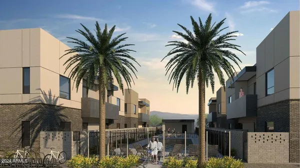 a view of backyard of palm trees