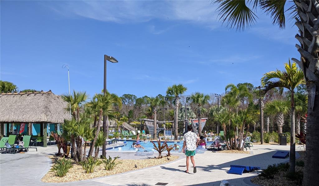 2800 Simile Street Kissimmee, FL 34746 - Photo 58 of 62 a view of outdoor space with palm trees