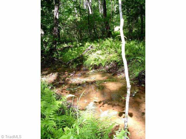 0 Deer Track Trail Sandy Ridge, NC 27046 - Photo 4 of 5 Other. Stream borders property.