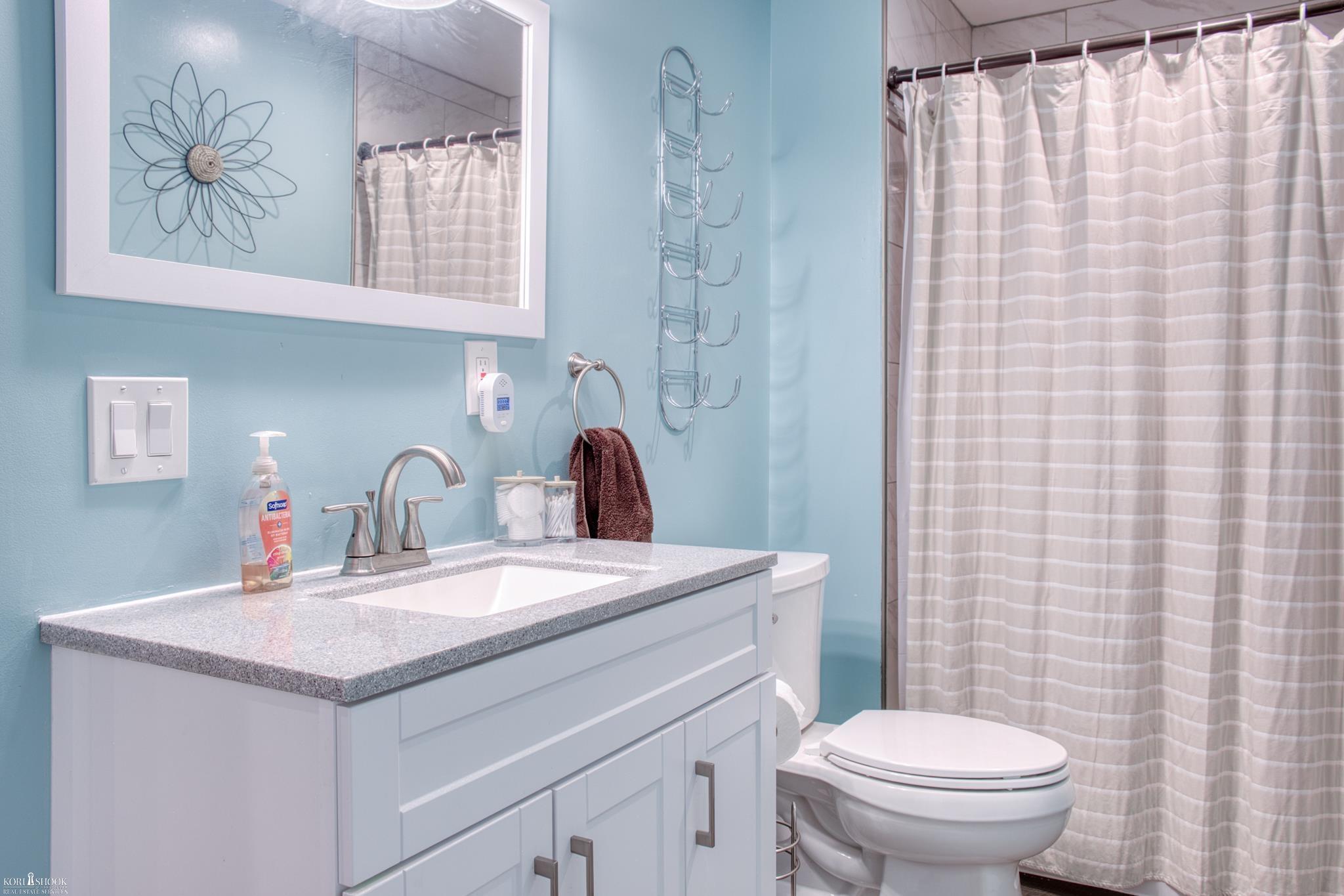 607 Doyle Road Laingsburg, MI 48848 - Photo 34 of 47 Gallery Image 34