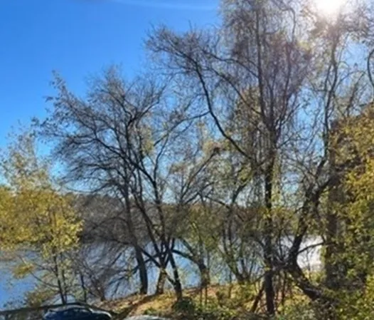 a backyard of a house with lots of green space