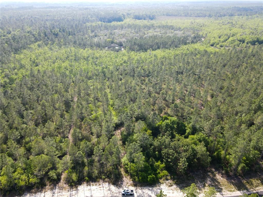 5015 Wood Duck Branch Road Blackshear, GA 31516 - Photo 7 of 12