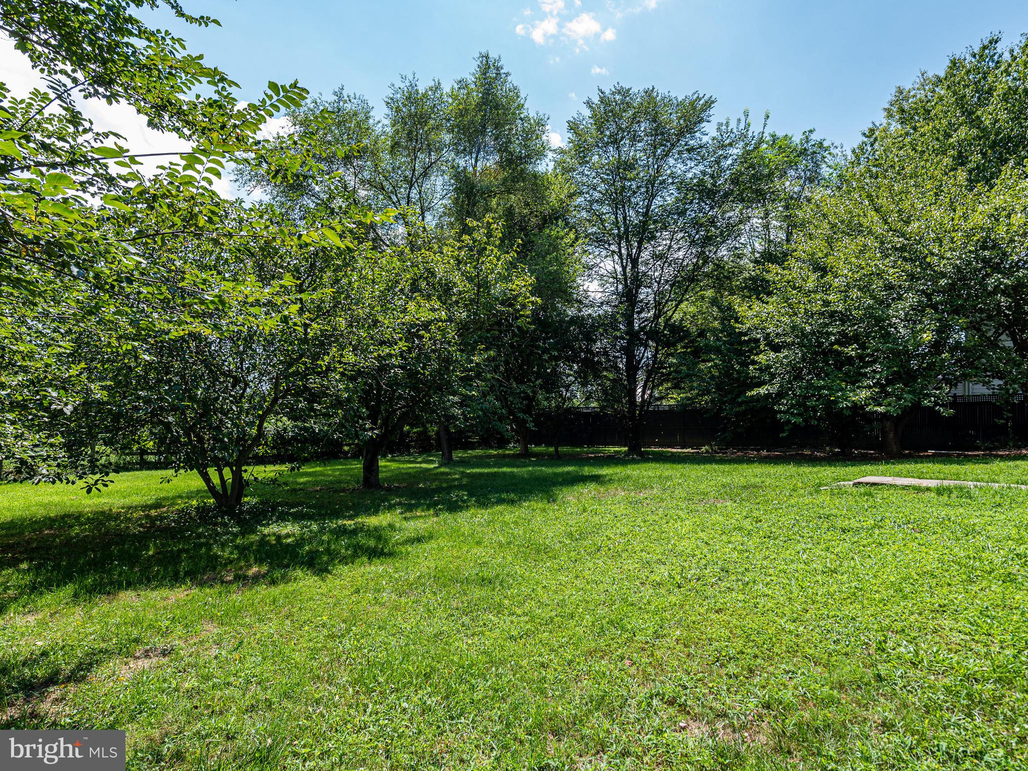 21148 Unison Road Middleburg, VA 20117 - Photo 47 of 52 Backyard of the . 42 Acre Lot