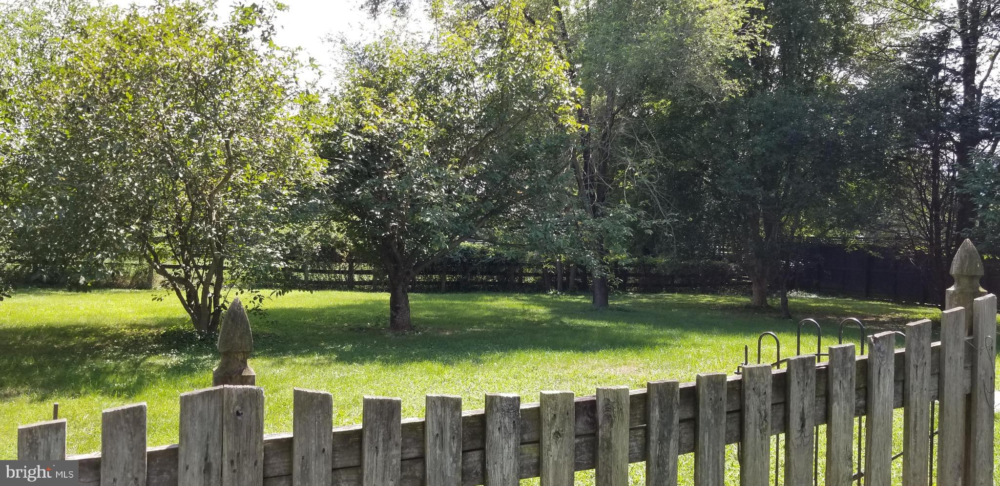 21148 Unison Road Middleburg, VA 20117 - Photo 48 of 52 Spacious Backyard