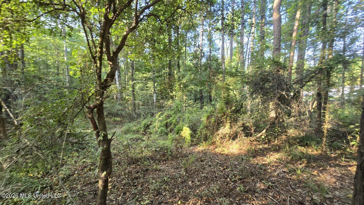 Stump Road Gloster, MS 39638 - Photo 2 of 17 20260729_083521