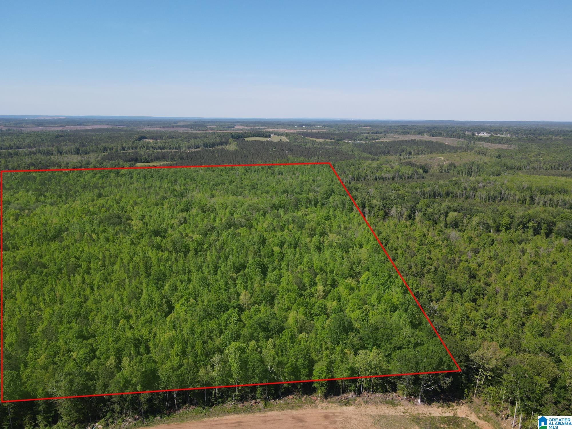 73 County Road 73, Unit 20003000 Randolph, AL 36792 - Photo 13 of 13