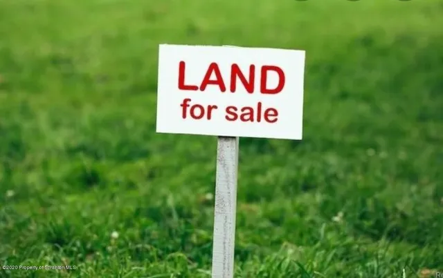 a sign broad in front of a tree