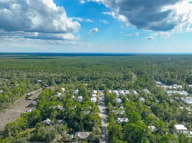a view of a garden with plants