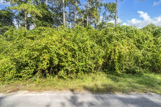 a view of a green yard