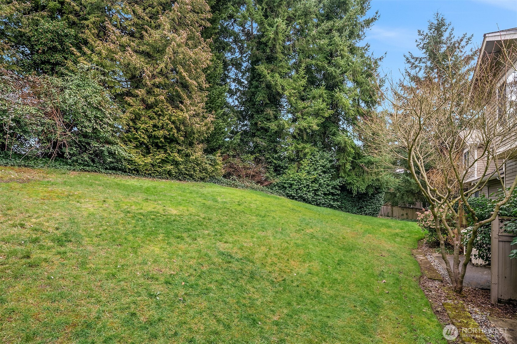 18646 Northeast 57th Way Redmond, WA 98052 - Photo 27 of 40 a view of a yard with a trees