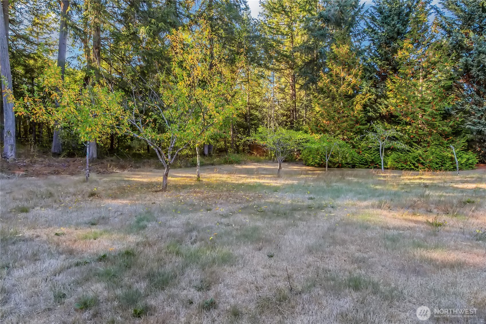4504 Meridian Road Southeast Olympia, WA 98513 - Photo 24 of 25 Gallery Image 24