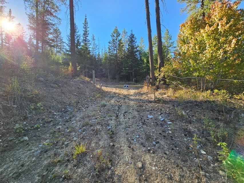 25-xx Burgess Road, Unit PARCEL A Addy, WA 99101 - Photo 3 of 7