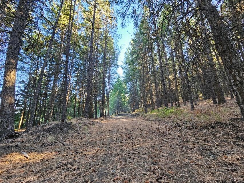 25-xx Burgess Road, Unit PARCEL A Addy, WA 99101 - Photo 5 of 7