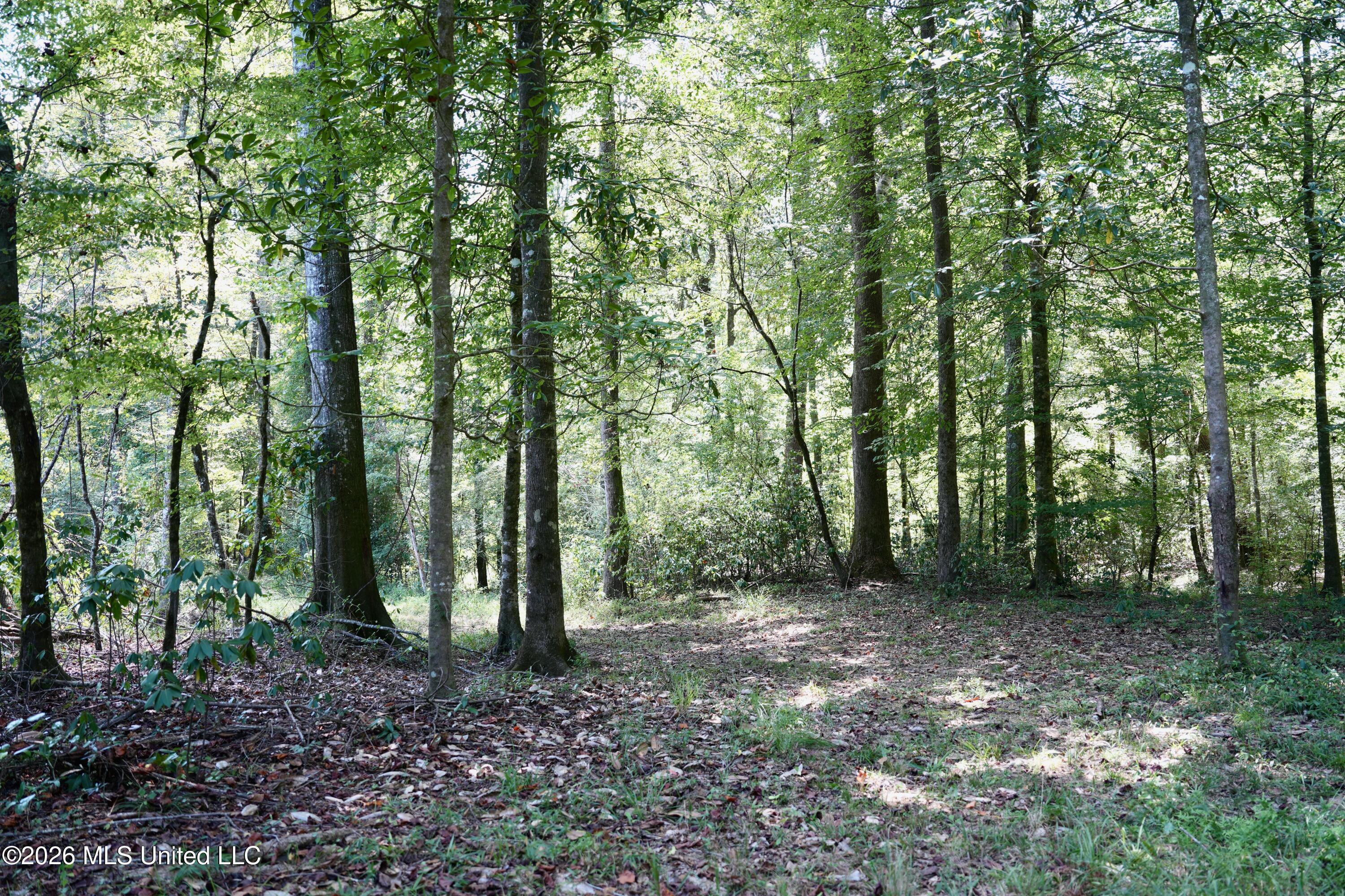 Xxxx Hamp Lea Road Magnolia, MS 39652 - Photo 13 of 48 DSC04052