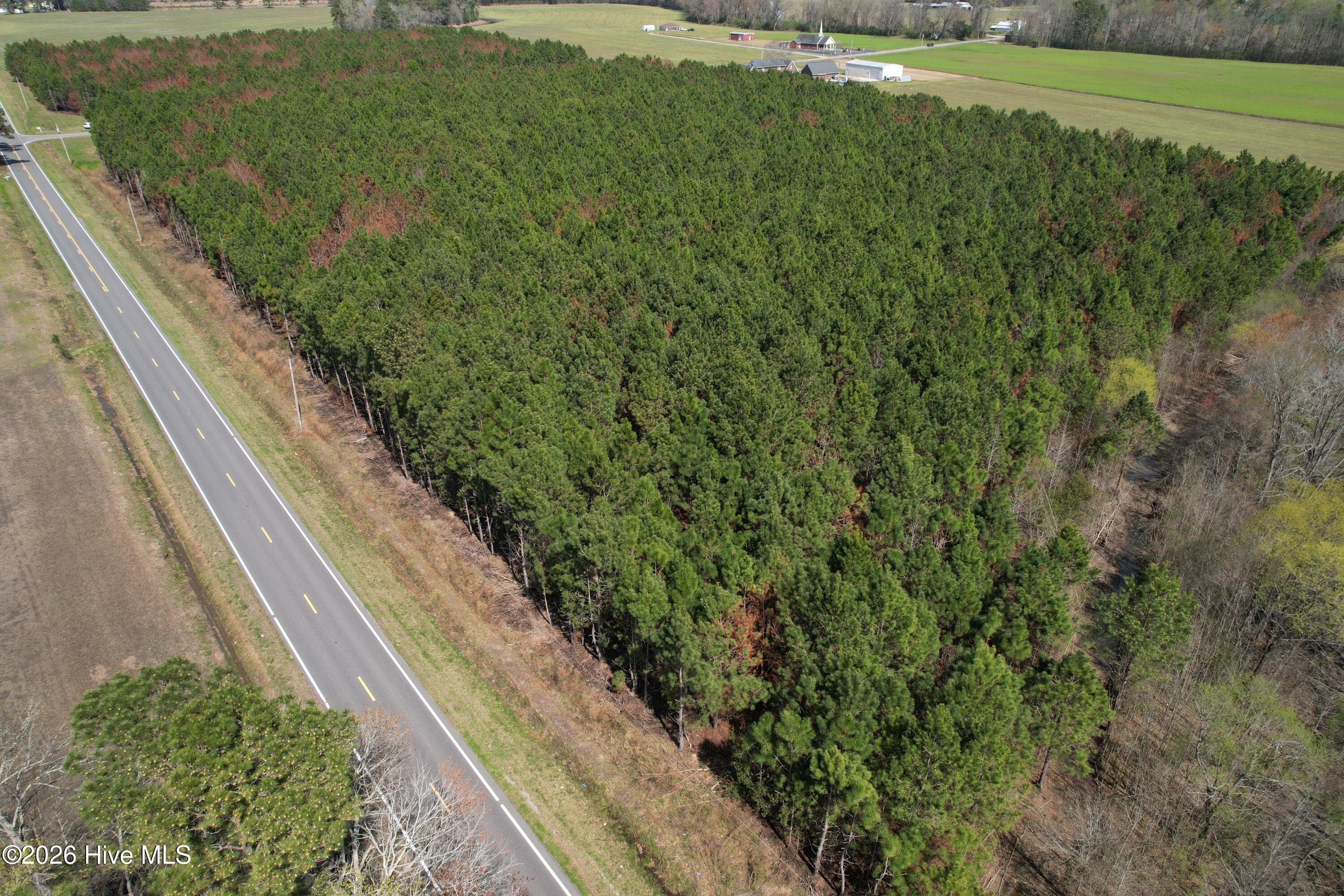 0 Old Stake Road Clarendon, NC 28432 - Photo 3 of 37 Image 1