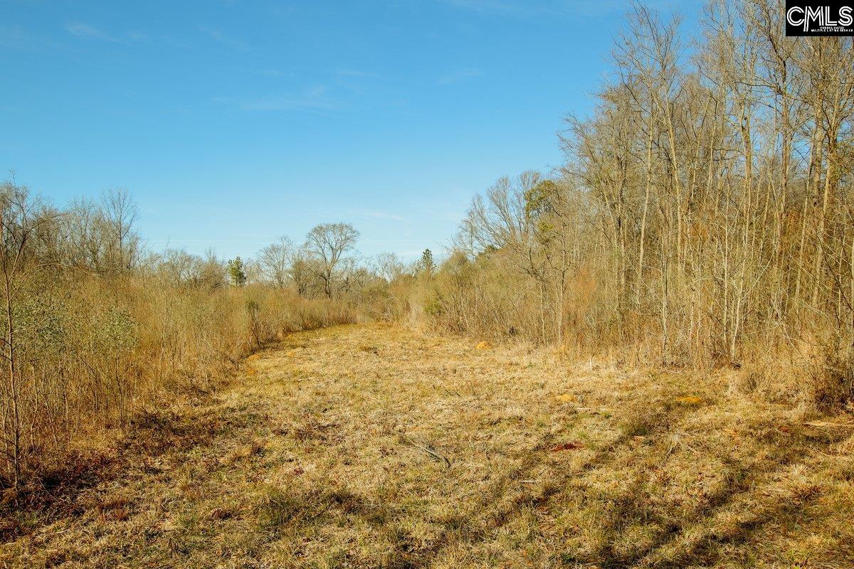 561 Church Road Batesburg, SC 29006 - Photo 16 of 24