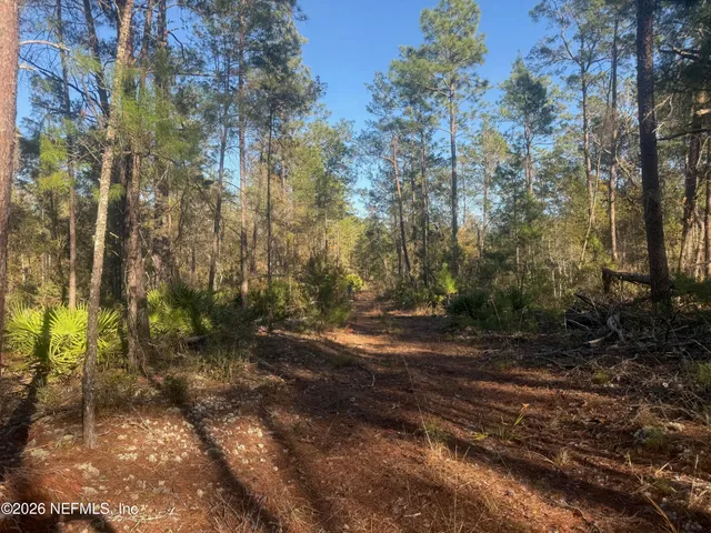 $27,000 | 210 Morningside Drive, Florahome, FL 32140