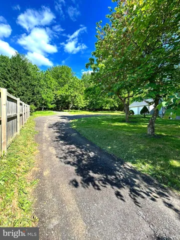 a view of a yard with plants and large trees