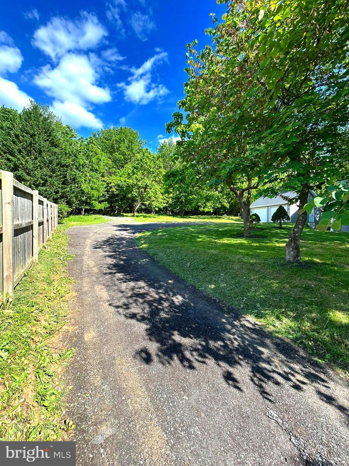 50 St Paul Street Boonsboro, MD 21713 - Photo 5 of 39 a view of a yard with plants and large trees
