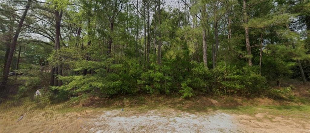 154 Broach Avenue Albany, GA 31705 - Photo 3 of 11 a view of a yard with large trees