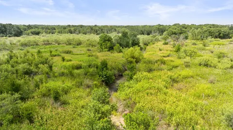 a view of a green field with lots of bushes