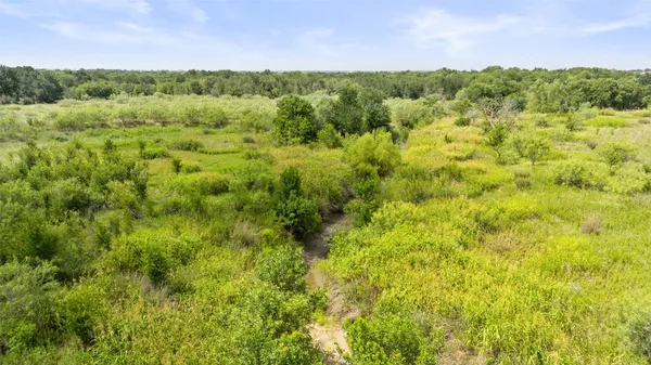 a view of a green field with lots of bushes
