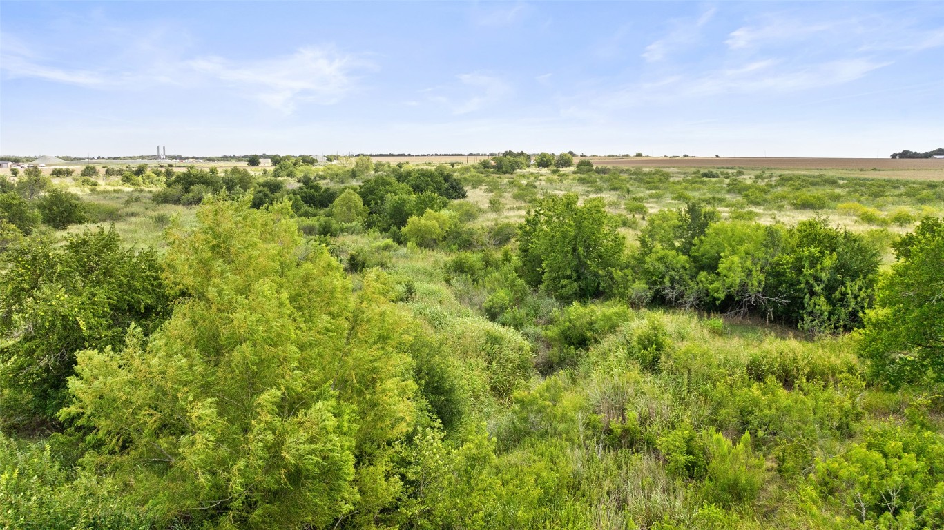 14101 Manda Road Manor, TX 78653 - Photo 10 of 16 a view of outdoor space and yard