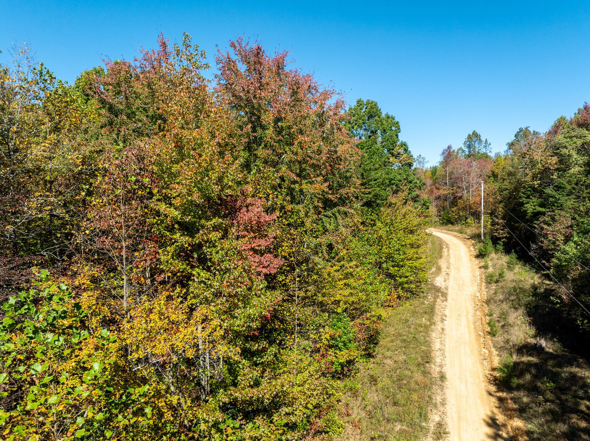 0 Dickson Road Graysville, TN 37338 - Photo 11 of 11 a view of a tree with a yard