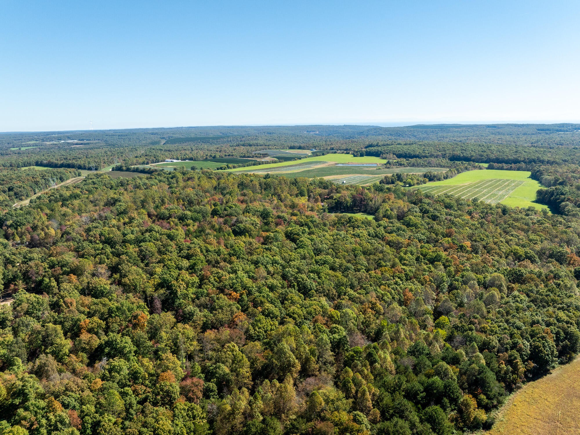 0 Dickson Road Graysville, TN 37338 - Photo 7 of 11 an aerial view of a houses with a yard