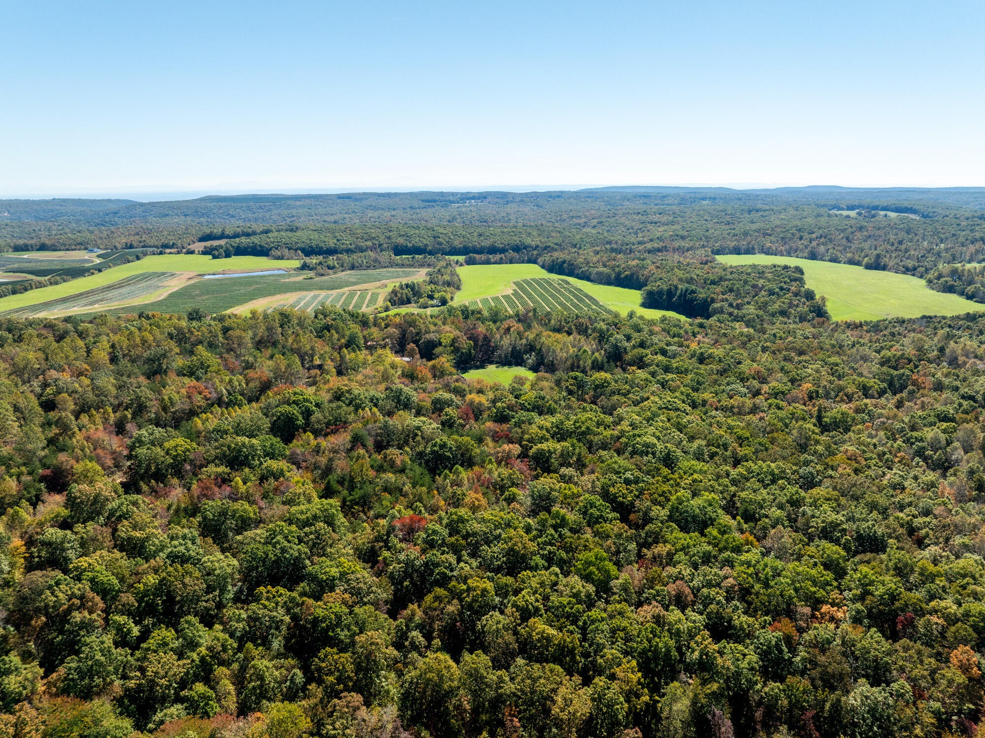 0 Dickson Road Graysville, TN 37338 - Photo 8 of 11 a view of an ocean and beach