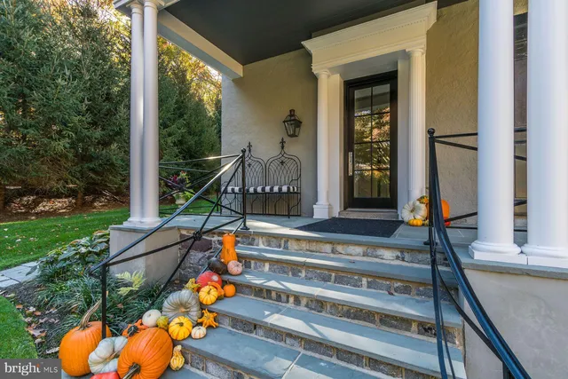 a aerial view of a house with a yard and potted plants