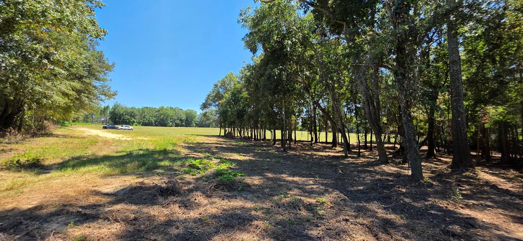 Lot 7 Acres Grady Garner Road Slocomb, AL 36375 - Photo 12 of 58