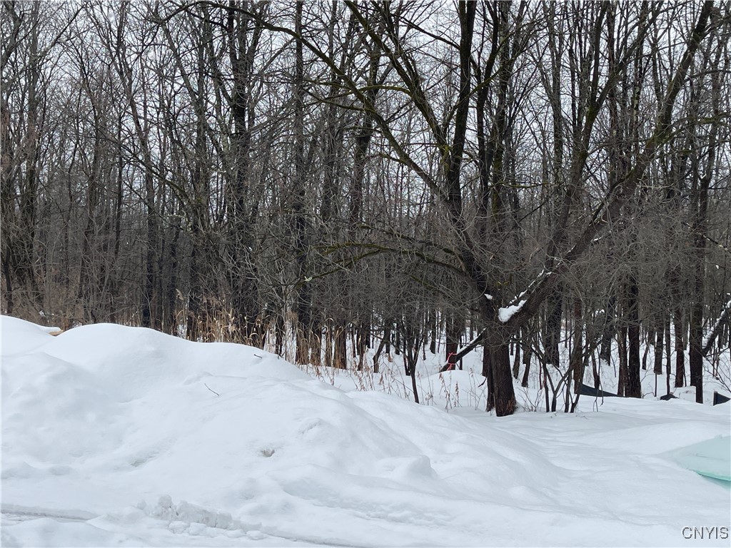 7792 Gifford Road Rome, NY 13440 - Photo 4 of 39