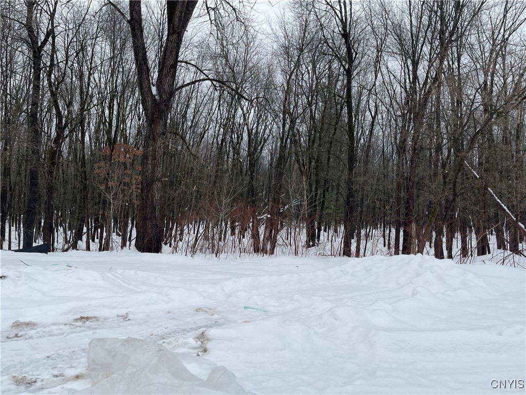 7792 Gifford Road Rome, NY 13440 - Photo 7 of 43